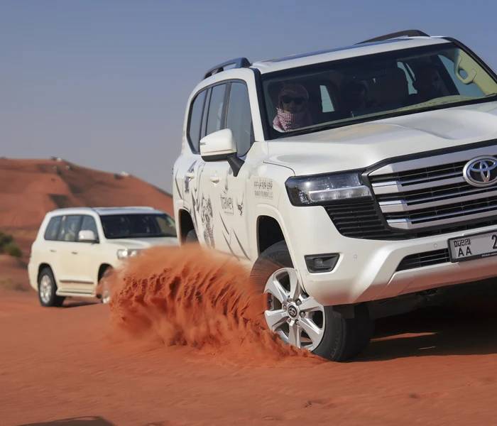 Premium Evening Desert Safari with BBQ Dinner in Dubai