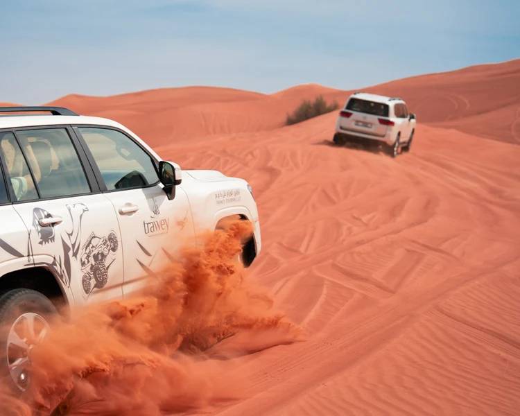 Express Desert Safari with Camel Ride