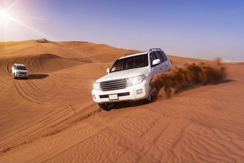 Morning Desert Safari - Dubai