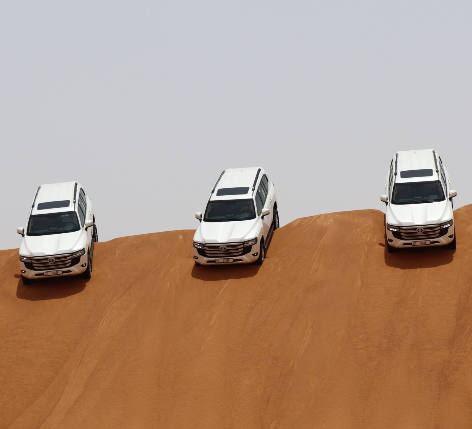 Welcome to D Xtreme World Tourism.  Where the UAE becomes more than a destination, it becomes an experience of life time. image
